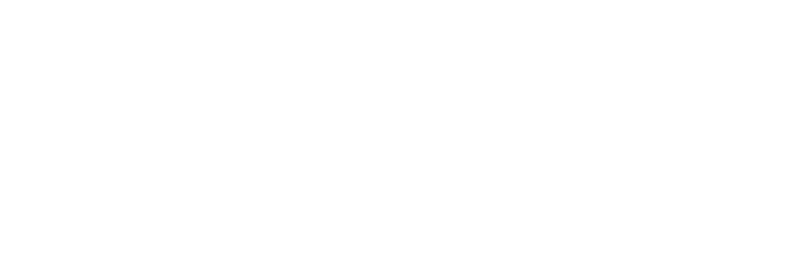 Clever Academy